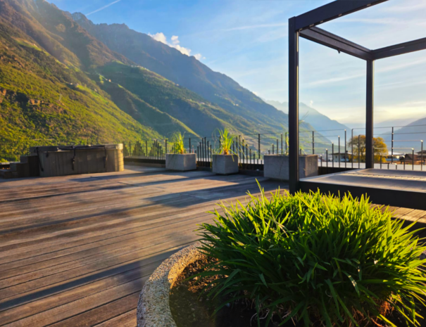 Liege Aussicht Busch